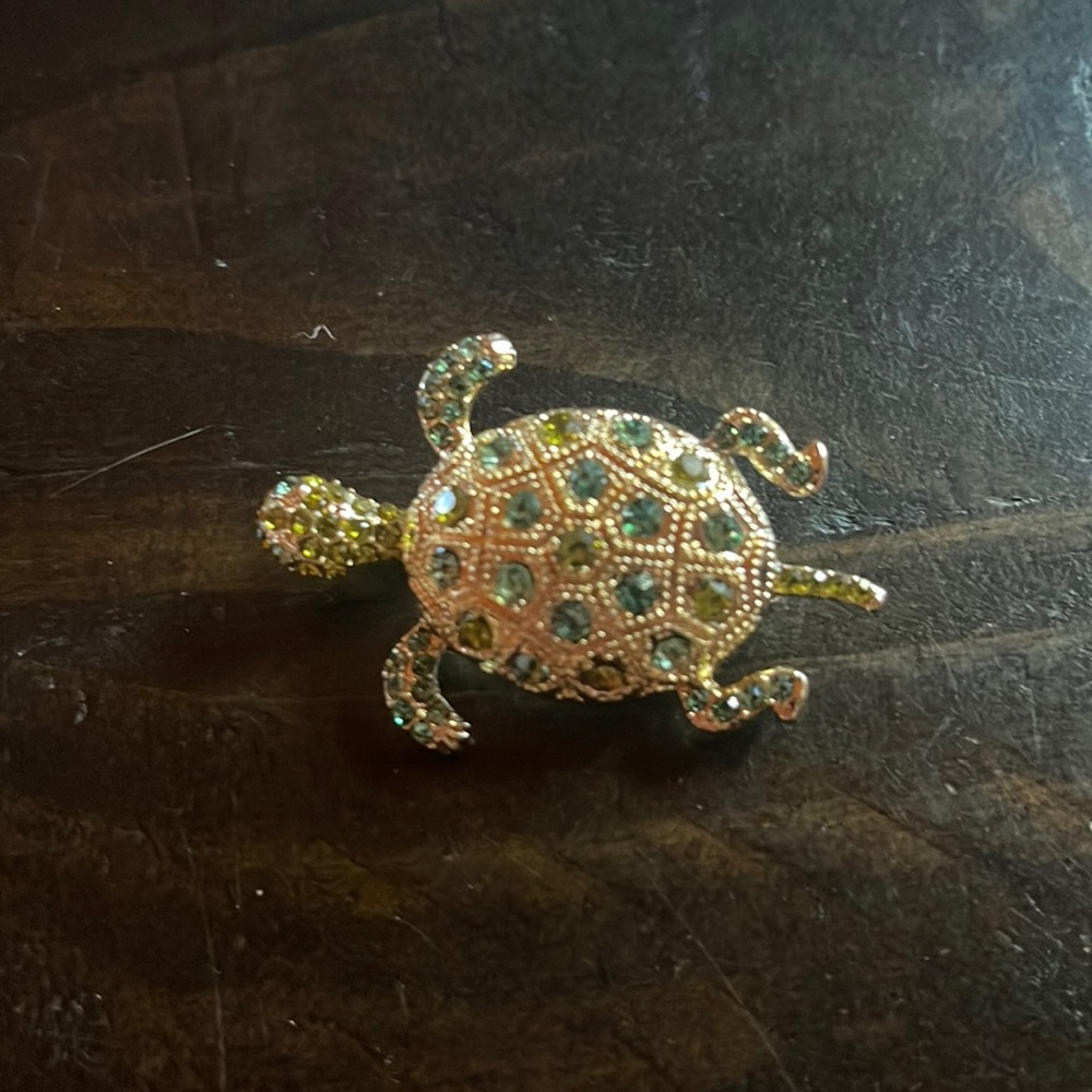 Turtle brooch